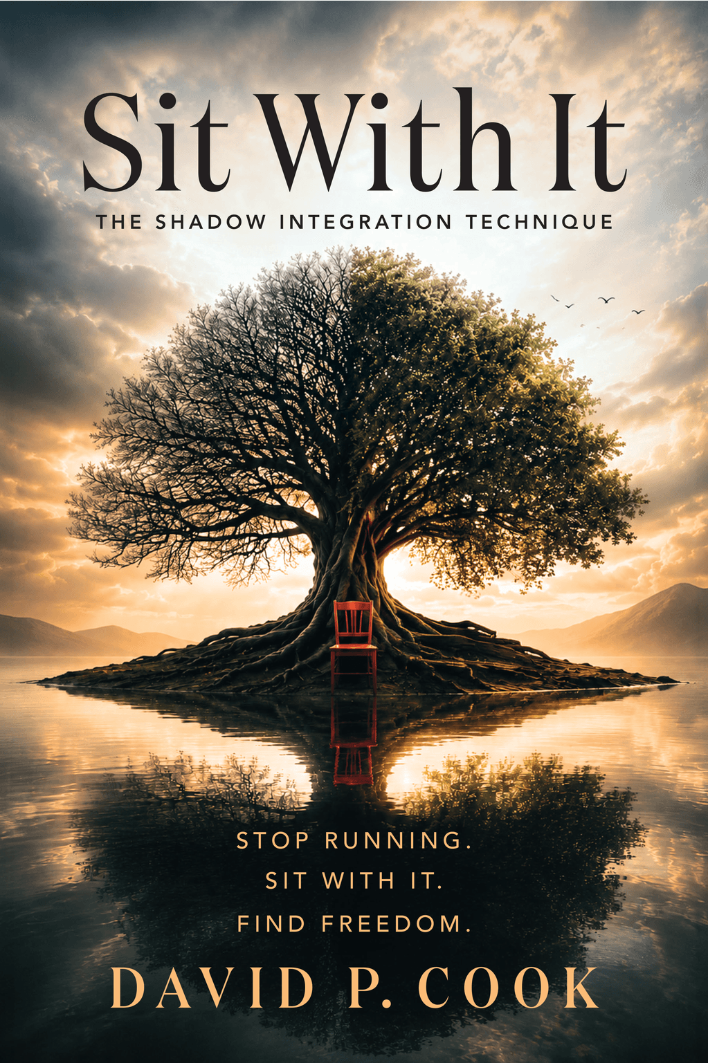 Sit With It by David P. Cook